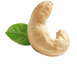 cashew