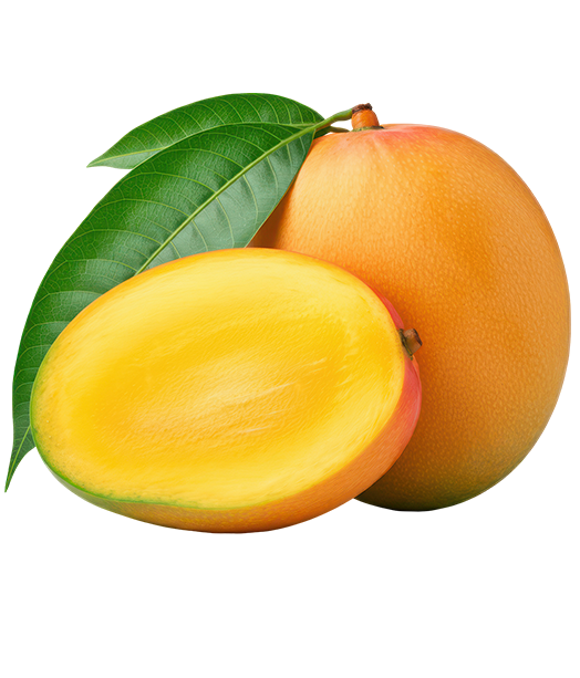 mangoes1