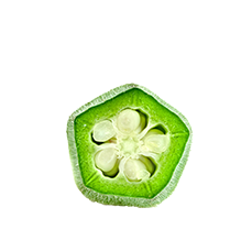 okra2