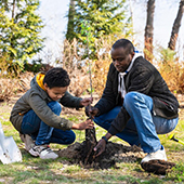 Social impact and preservation