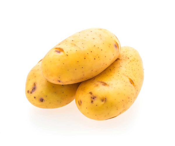 Tubercules